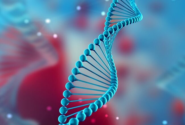 Abstract representation of a blue DNA double helix on a blurred red and blue background, symbolizing genetics or molecular biology.