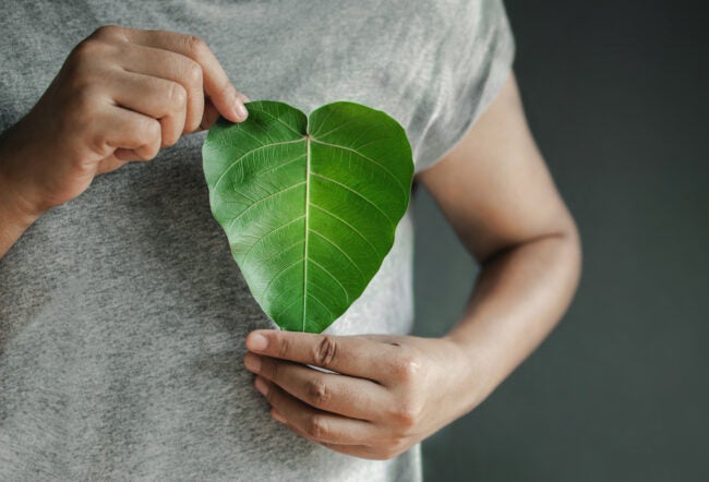 A person holding a large, heart-shaped green leaf with both hands in front of their torso, wearing a gray shirt.