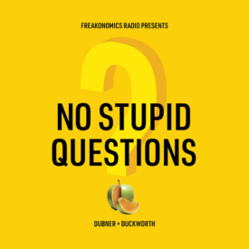 A yellow background with a large question mark and the text "No Stupid Questions." Below is a small image of a sliced mango and the names "Dubner + Duckworth."